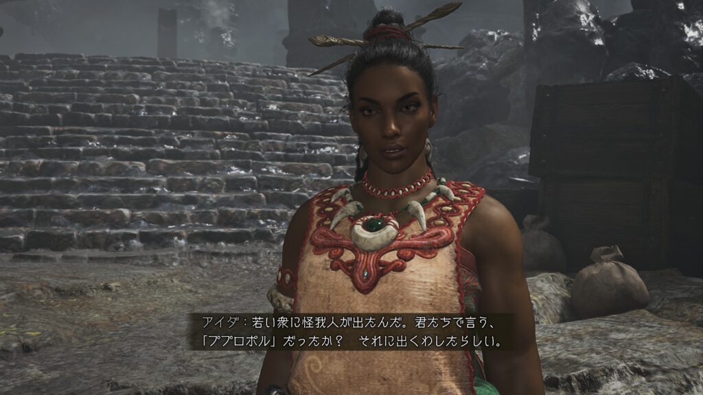 アイダの依頼2