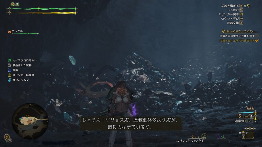 ゲリョスの亡骸を発見