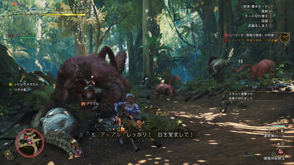 コンガが邪魔