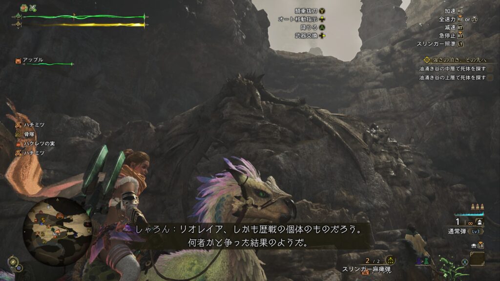 リオレイアの遺体