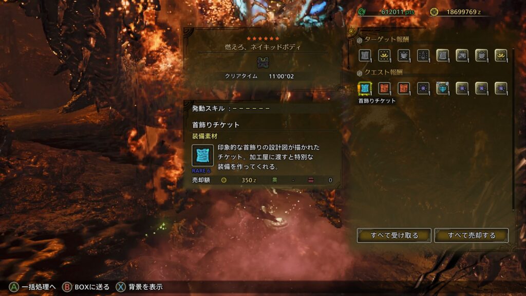 報酬の首飾りチケット