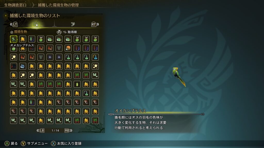 捕獲した環境生物リスト