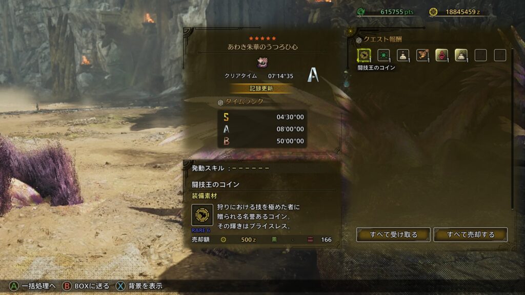 片手剣Aランク