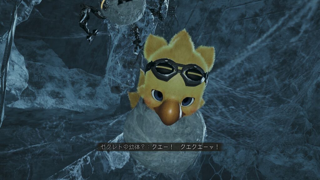 チョコボみーっけっ！