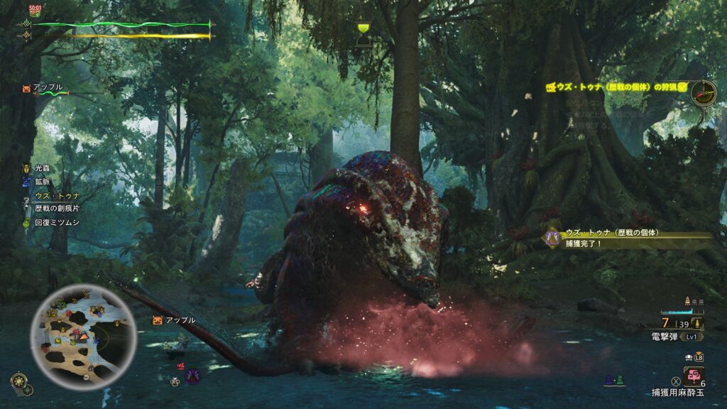 ウズ・トゥナ捕獲