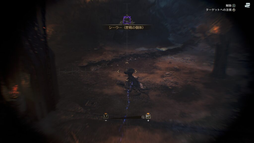 シーウーのサイズは普通