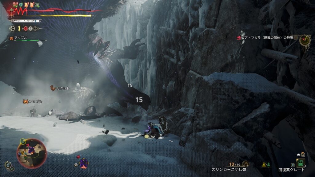 ダメージ痛すぎる