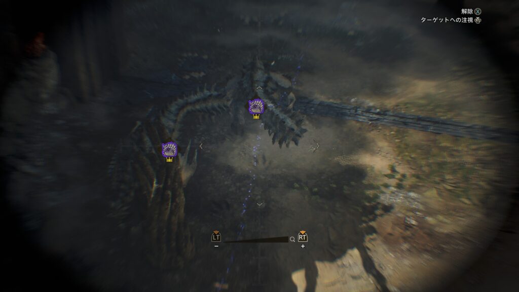 どちらも最小金冠