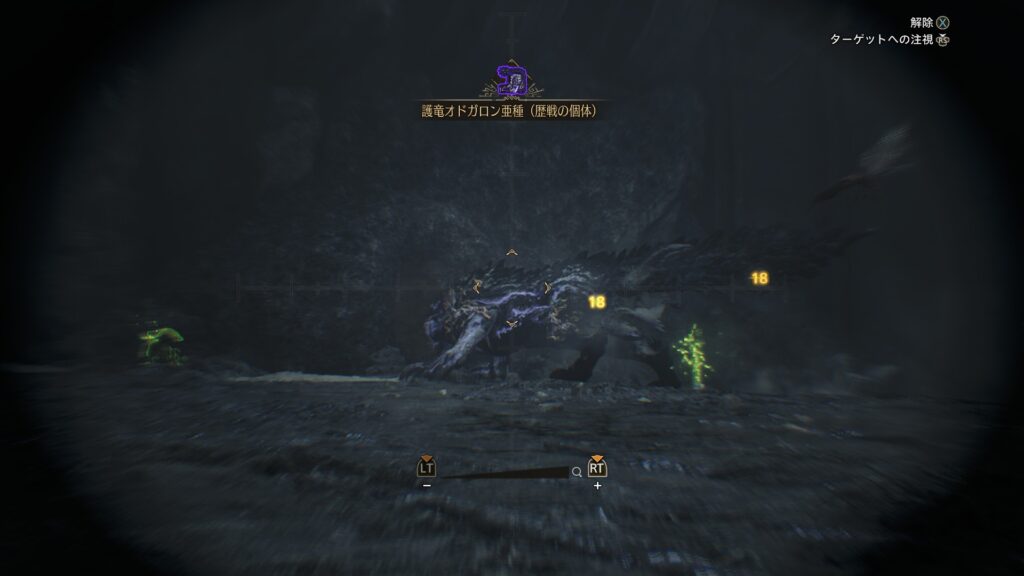 オドガロン亜種のサイズは普通