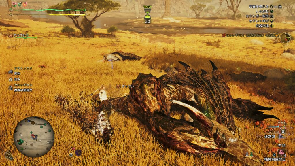 セルレギオス討伐