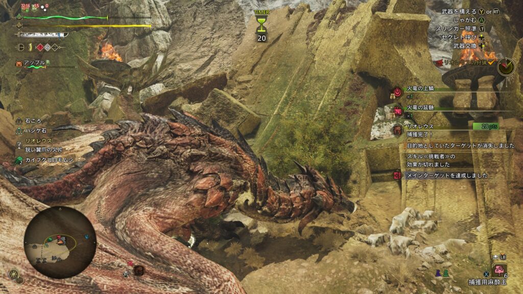 フェンダーレウス捕獲