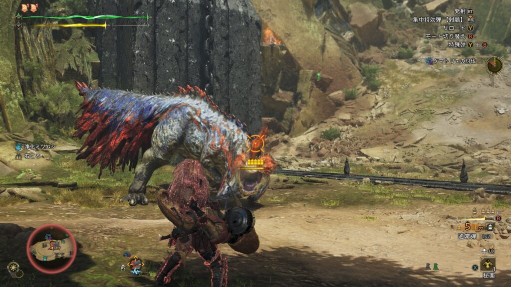 弱点は頭と尻尾