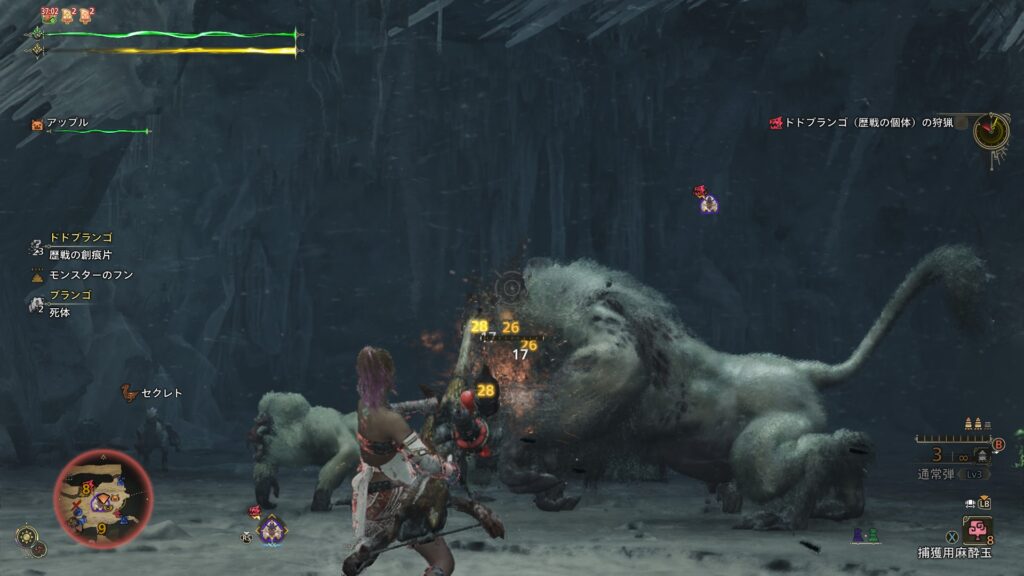 特筆すべきことが無いドドブランゴ