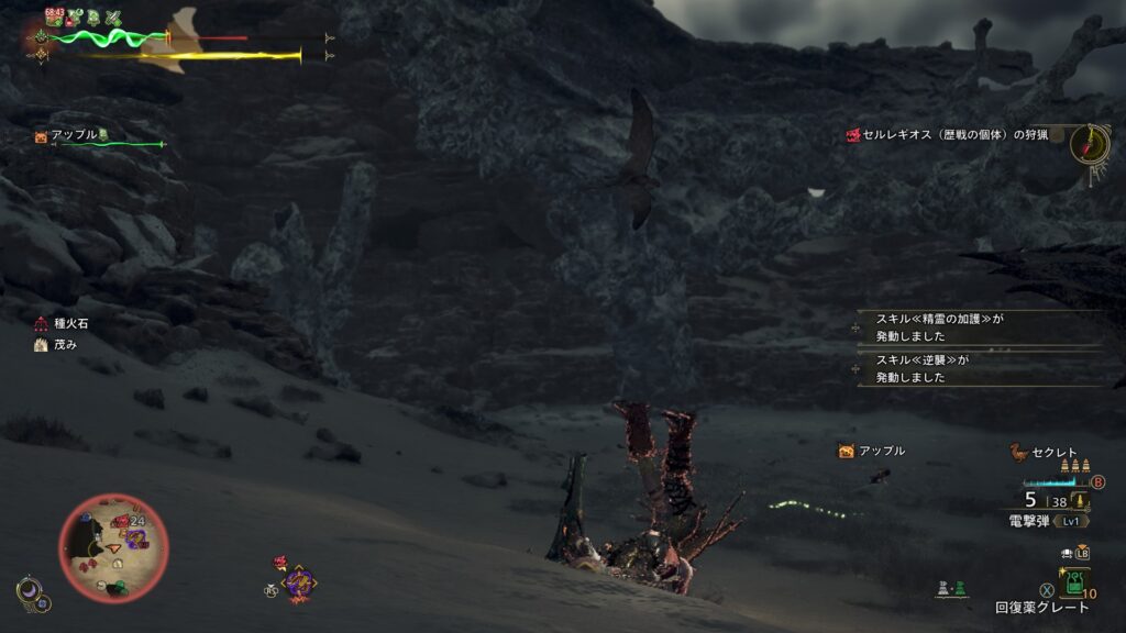 防御特盛でも痛いものは痛い