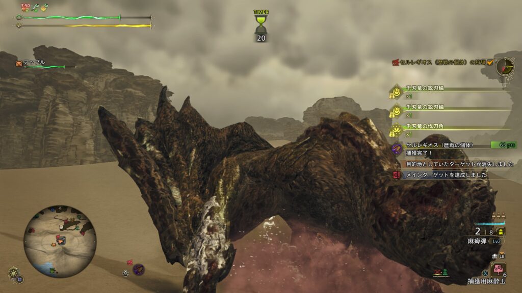 麻痺弾撃ってゆったり捕獲